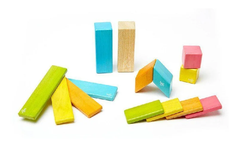 Tegu 14-Piece Magnetic Wooden Block Set