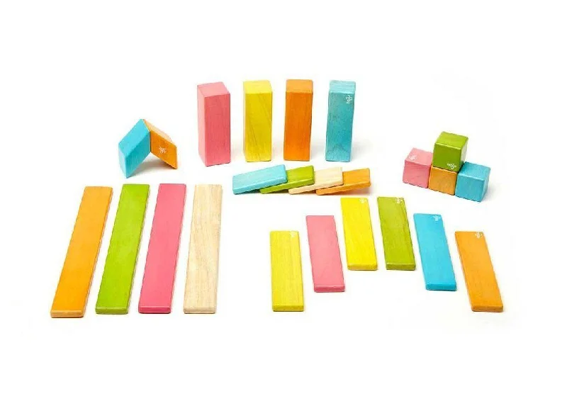 Tegu 24-Piece Magnetic Wooden Block Set