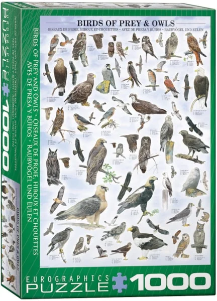 Birds of Prey and Owls 1000pc - EuroGraphics Puzzle