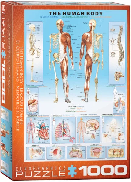 The Human Body 1000pc - EuroGraphics Puzzle