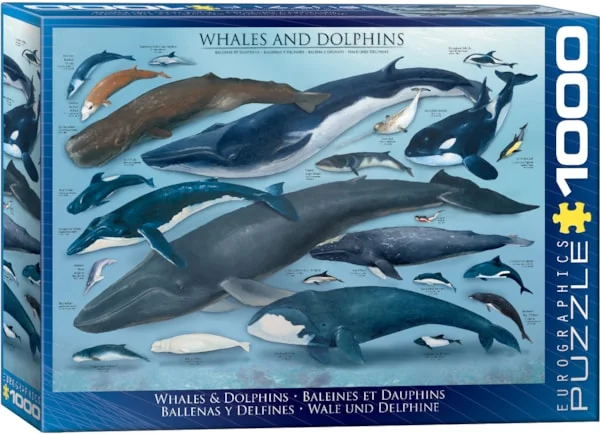 Whales & Dolphins 1000pc - EuroGraphics Puzzle