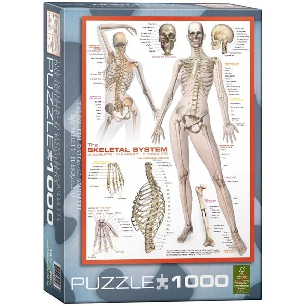 The Skeletal System 1000pc - EuroGraphics Puzzle