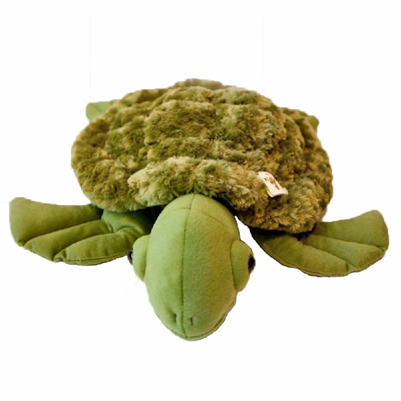 Weighted Turtle